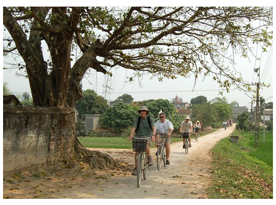 Cycling tour to Trang An - Hoa Lu - Mua Cave