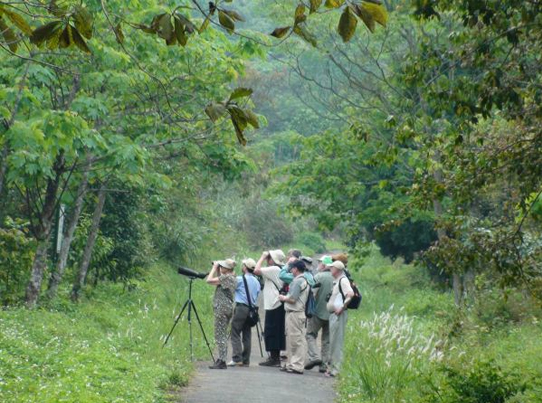 Trekking through Cuc Phuong Jungle to stay 1N in Homestay at Muong & Khanh Village